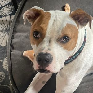 Meet your Posher, Beth